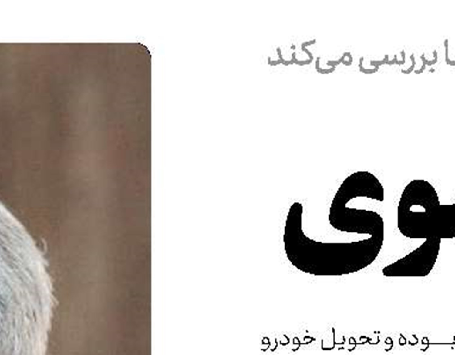کلاهبرداری در پوشش پورشه