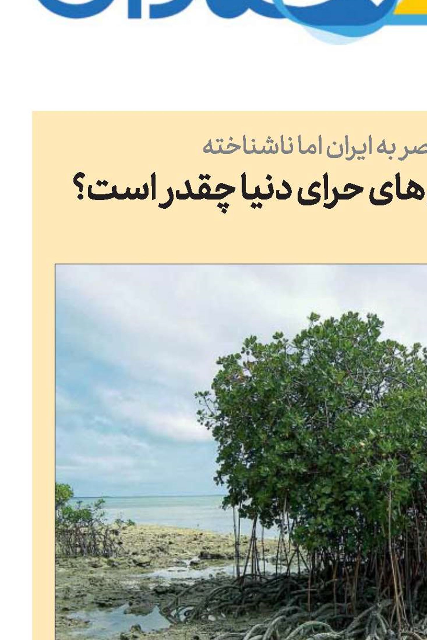 سهم ایران از جنگل‌های حرای دنیا چقدر است؟