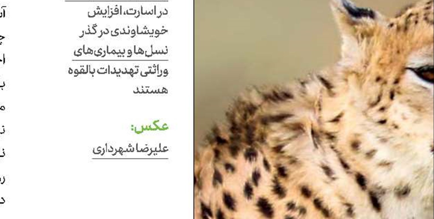 چه وقت از استراتژی  «حفاظت در محل طبیعی»    و چه زمانی از  مدیریت تحت نظارت انسان استفاده می‌کنیم؟