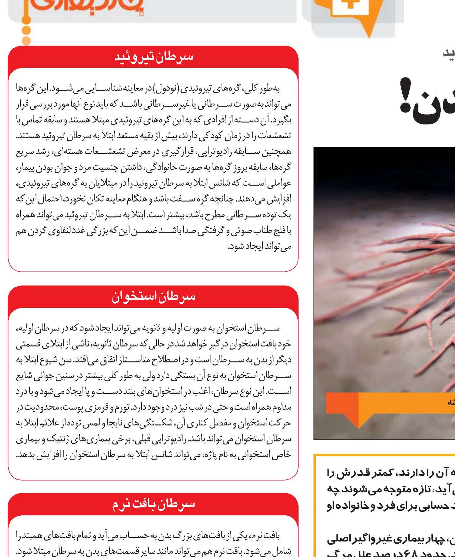 پرورش خرچنگ در بدن!