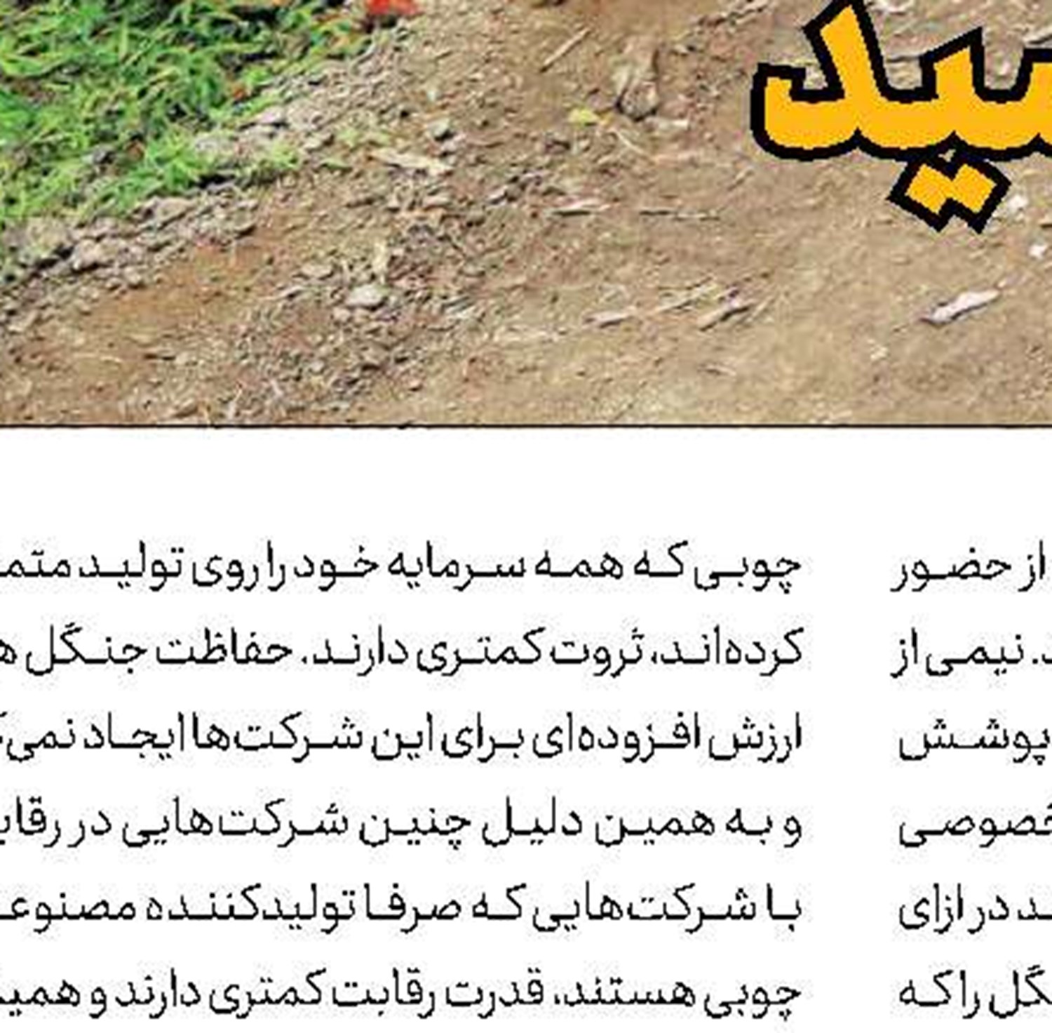 جان جنگلبان در خطر است
