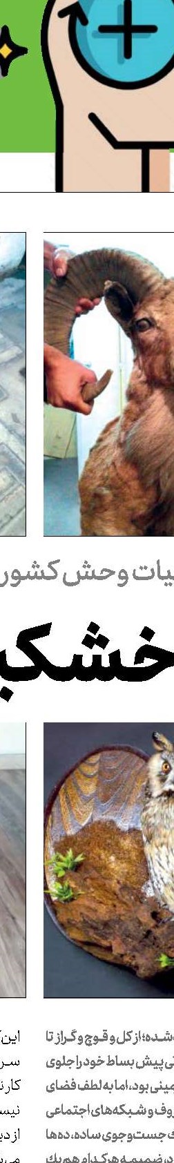 حق باشماست