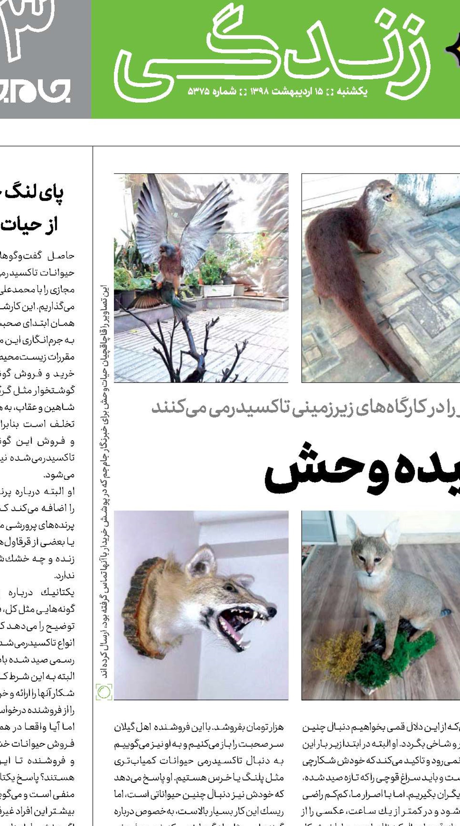 حیات خشكیده وحش