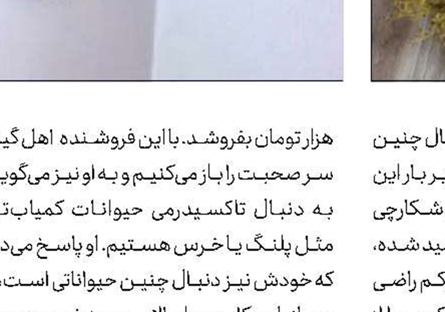 یگان حفاظت در تعقیب حیوان‌فروشان مجازی