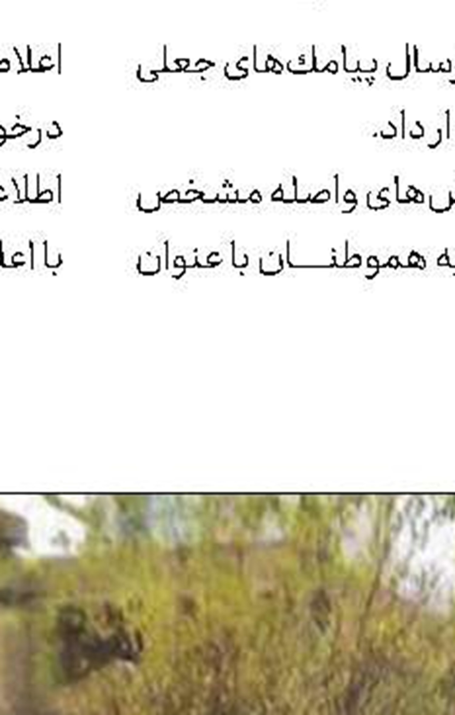 آغاز سفر دور دنیا با شتر