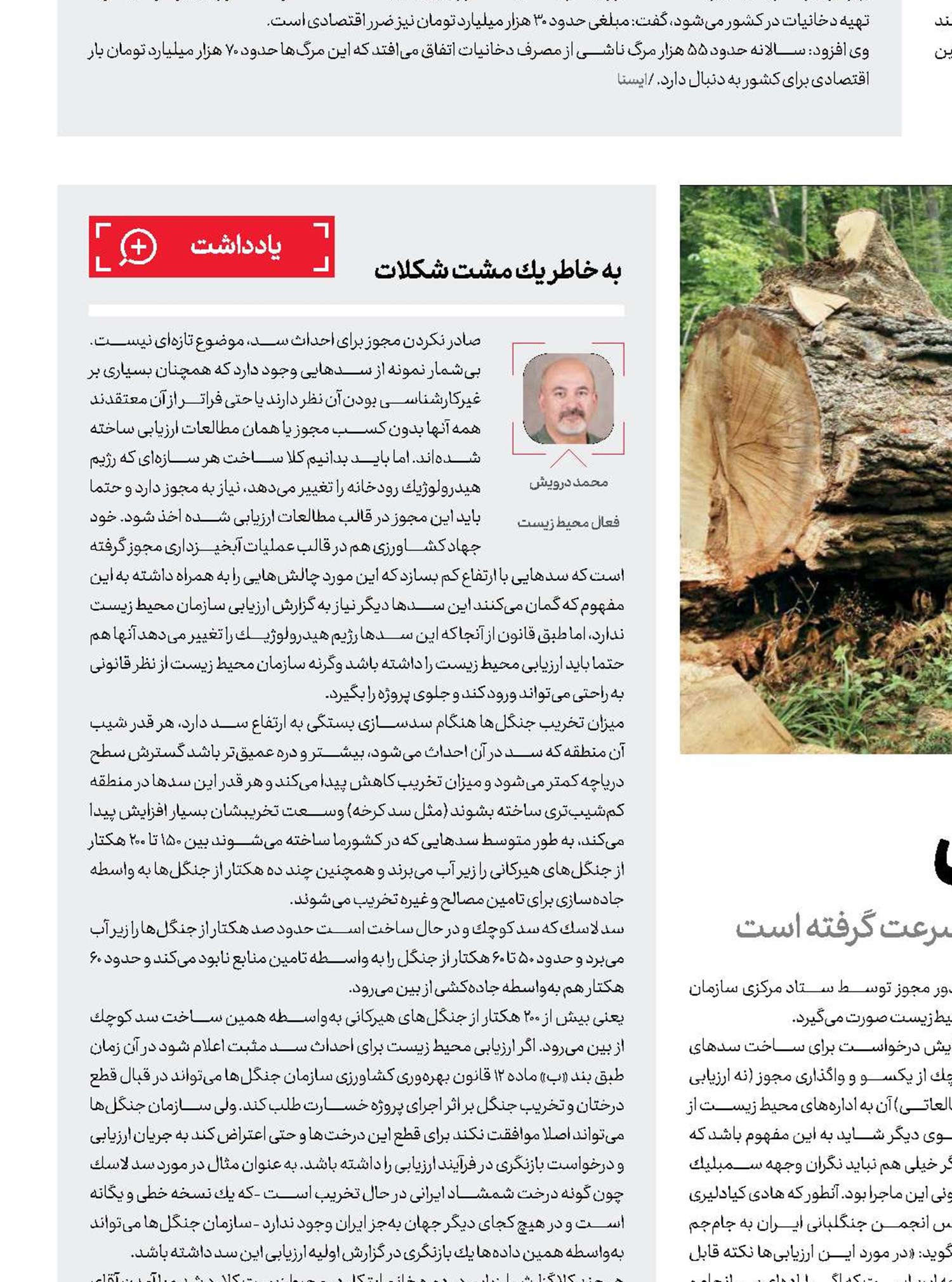 سد، بلای جان جنگل
