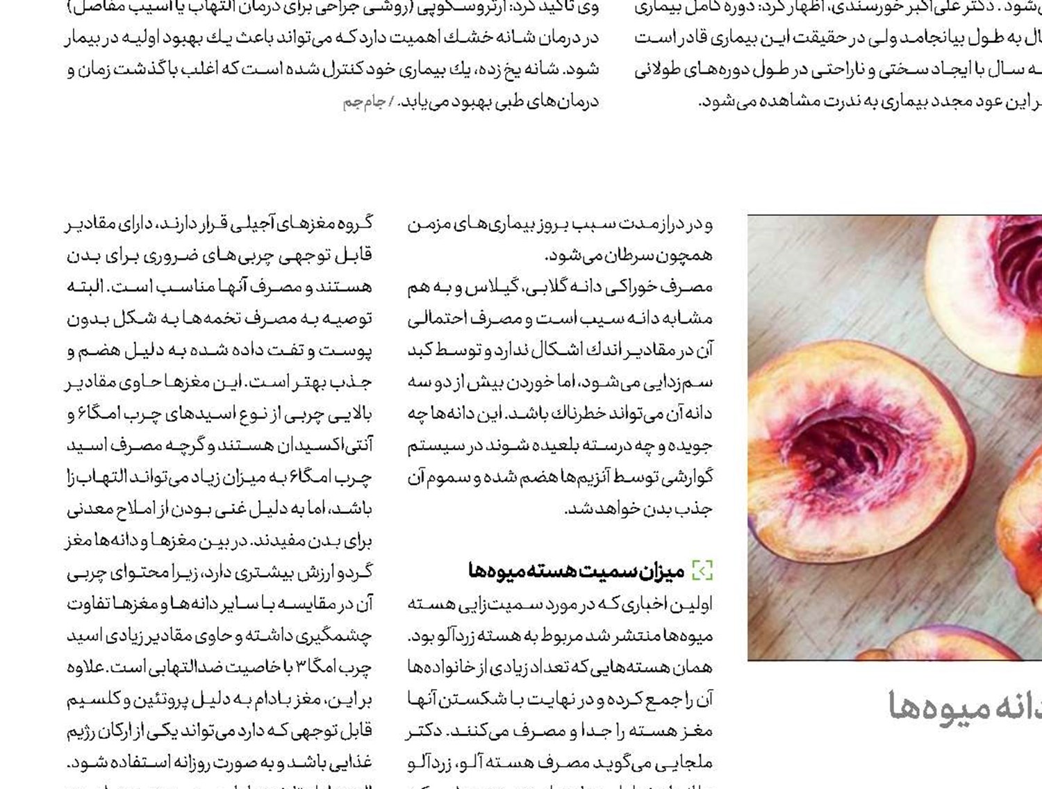 مغزهای سمی