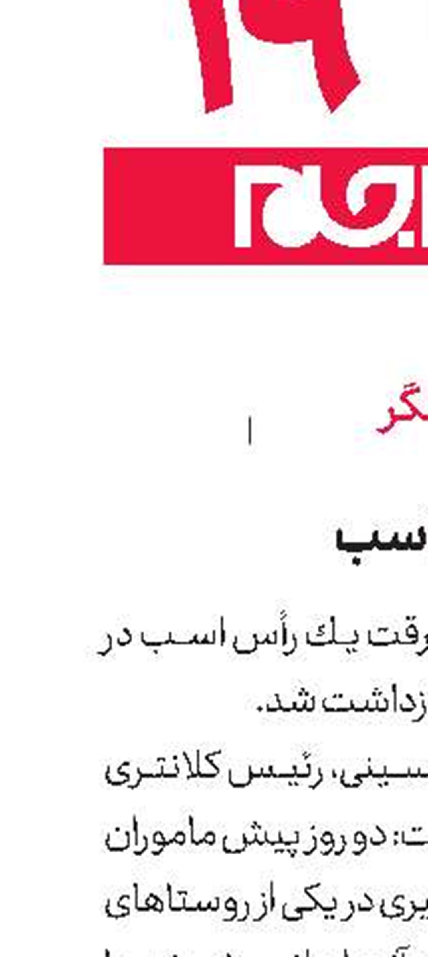 دستگیری سارق اسب
