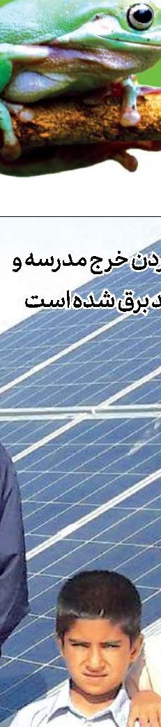 حق با شماست