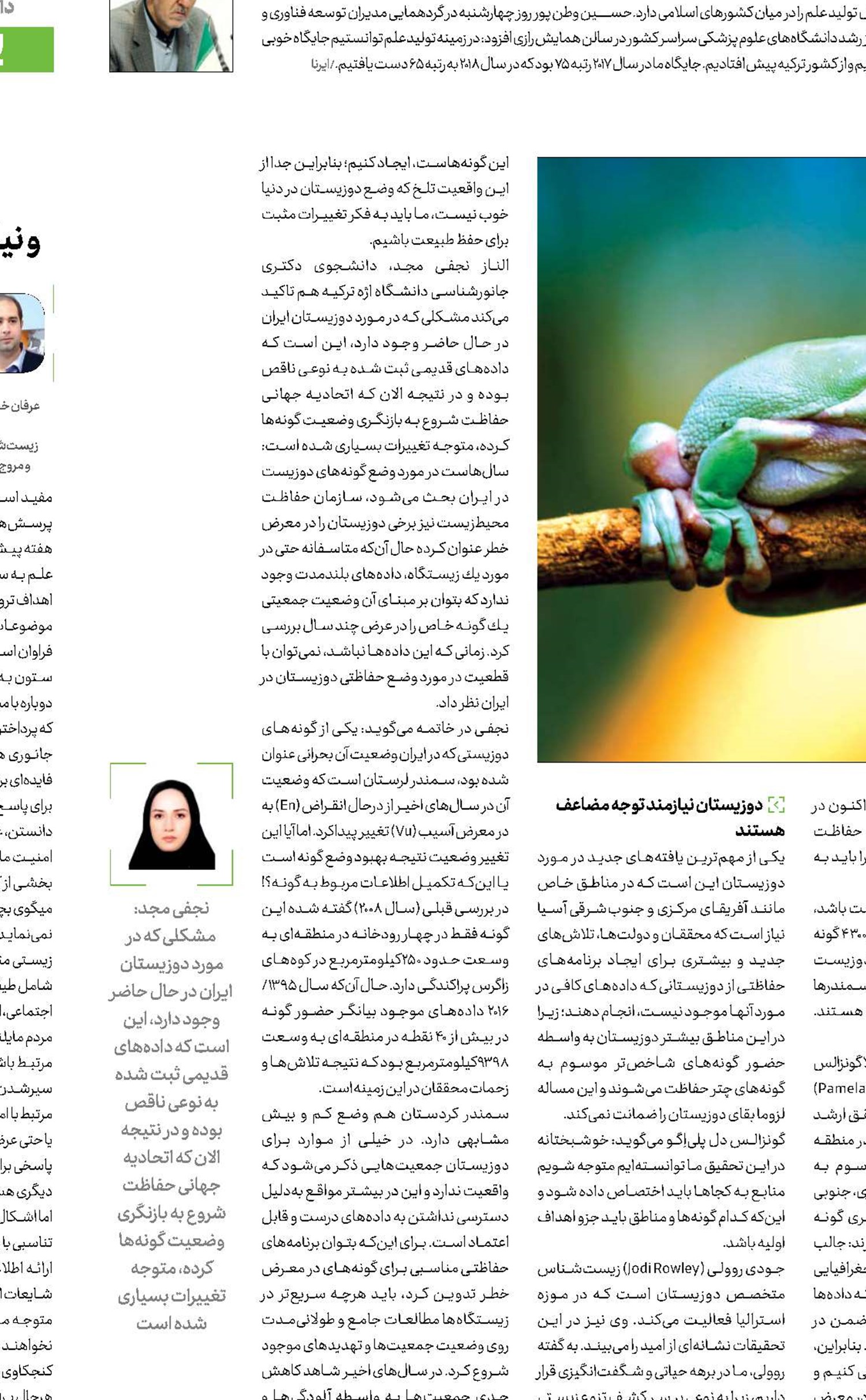 قورباغه‌ها جدی‌جدی می‌میرند!