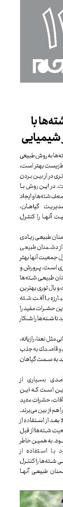 علیه شته‌ها با مواد غیر شیمیایی