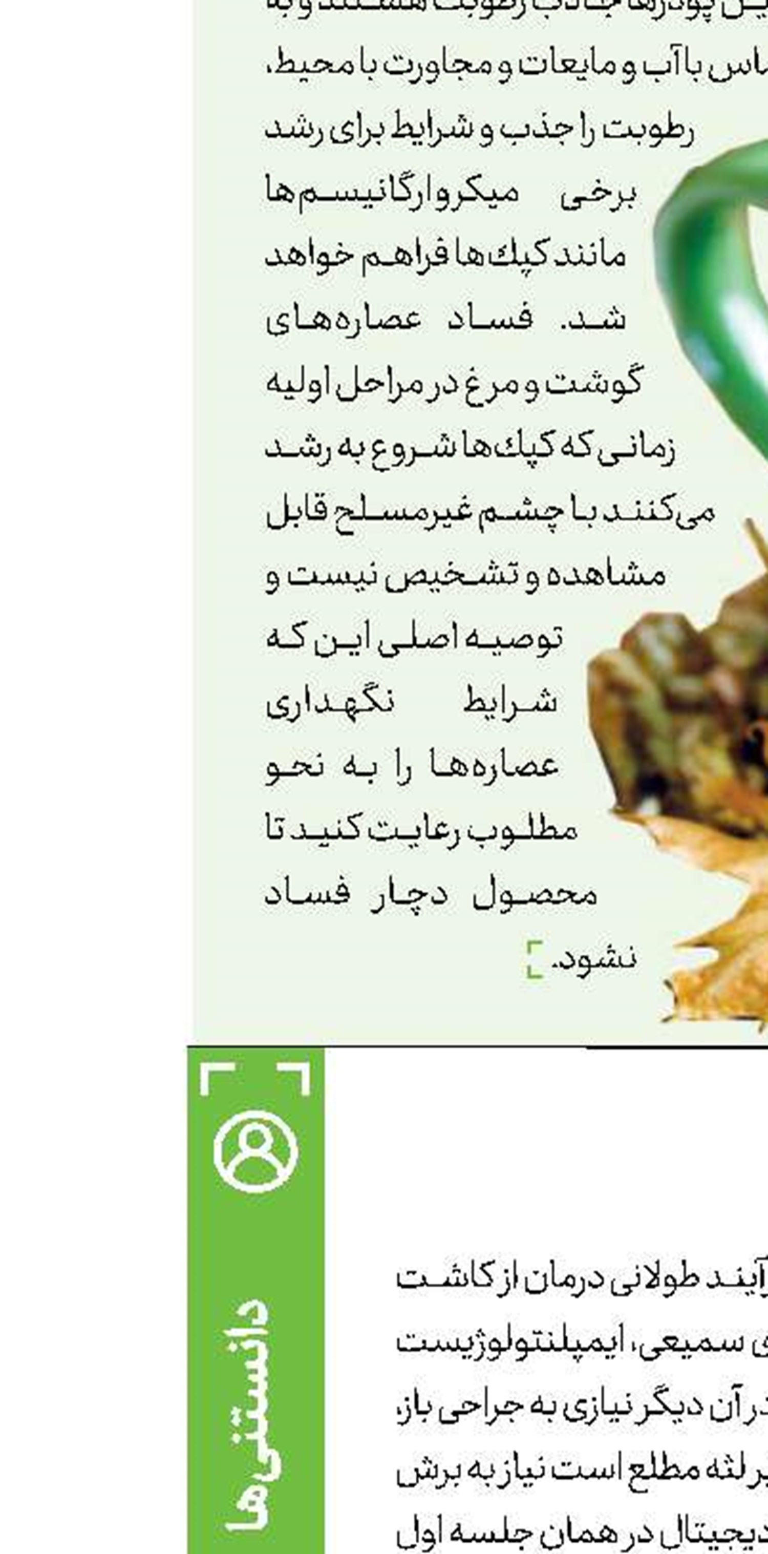 وقتی كلیه به نارسایی می‌افتد