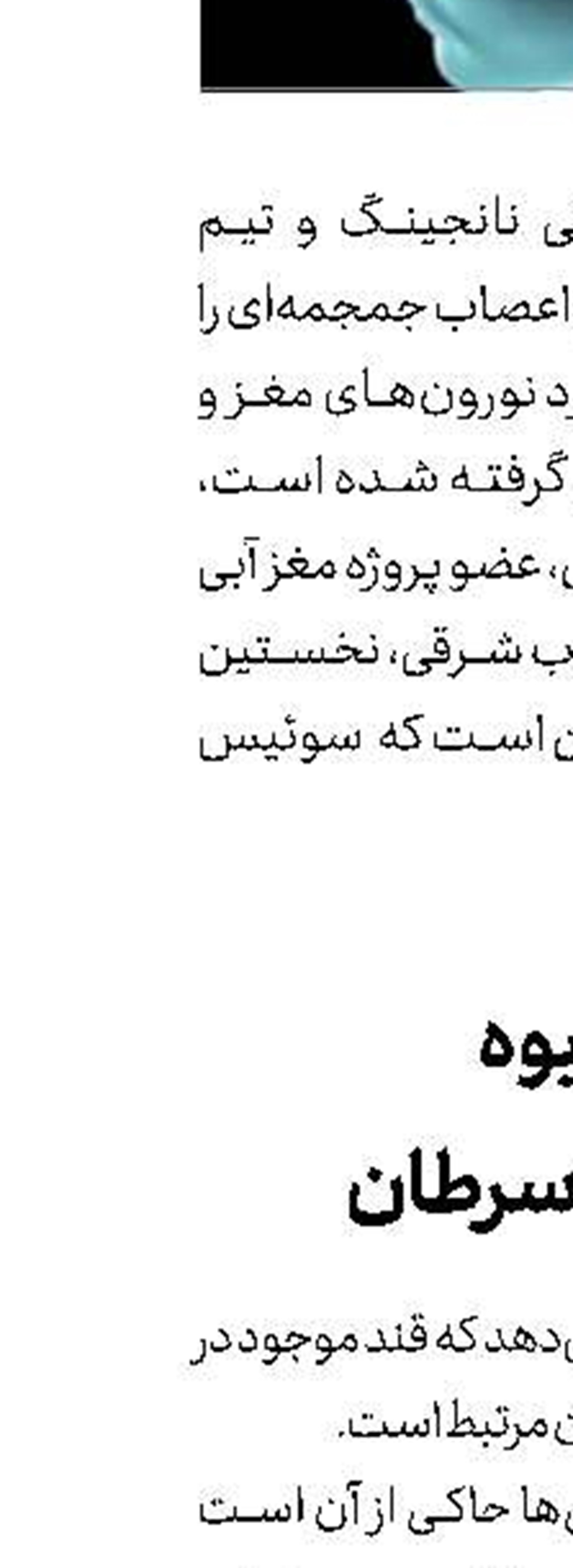  کشف مهره شطرنج عتیقه