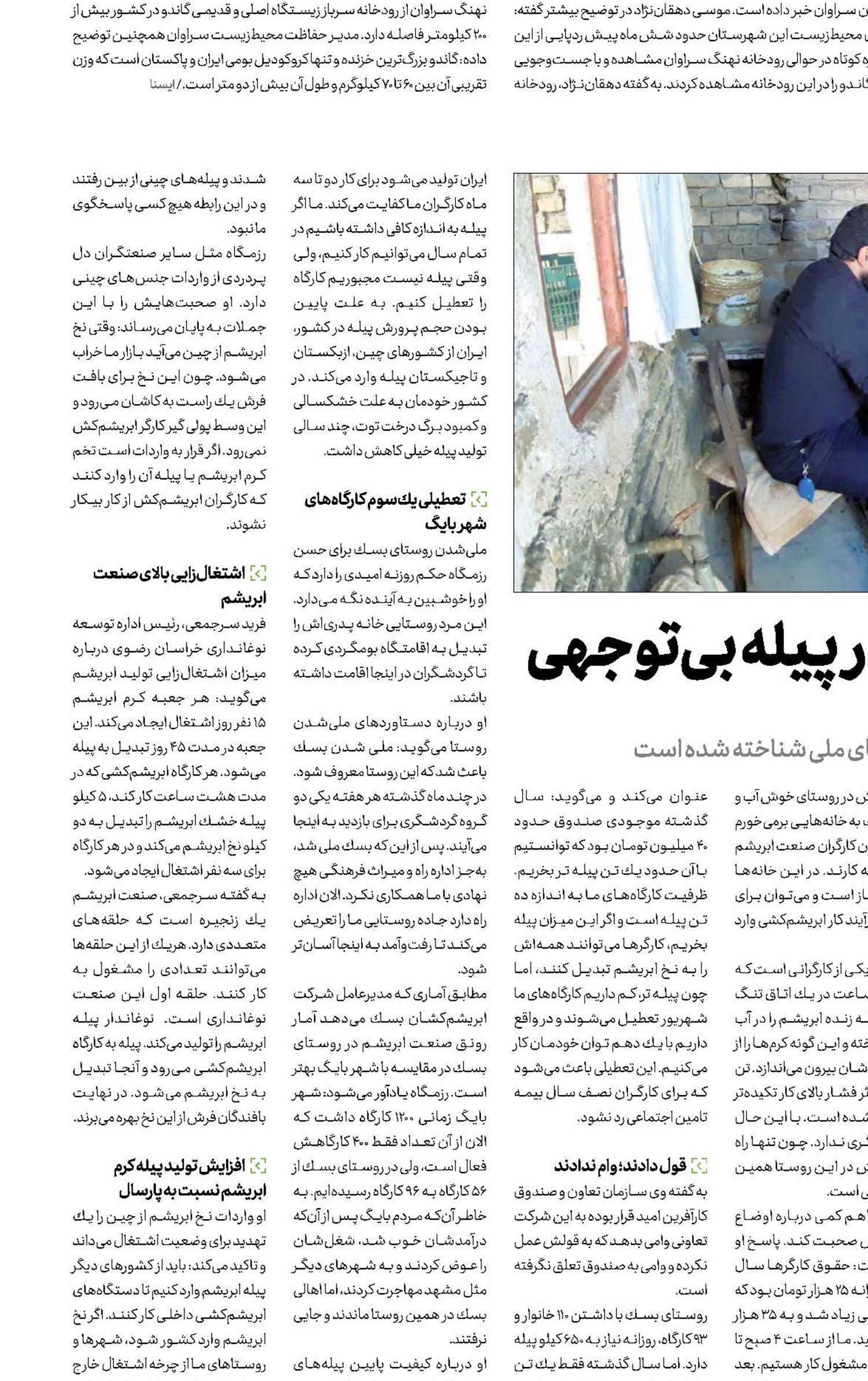 صنعت ابریشم گرفتار در پیله بی‌توجهی