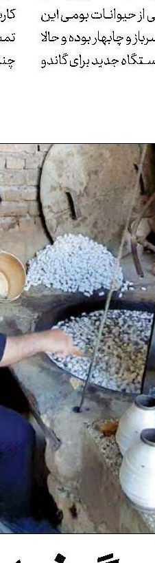 باید فرش و حوله ابریشمی ببافیم
