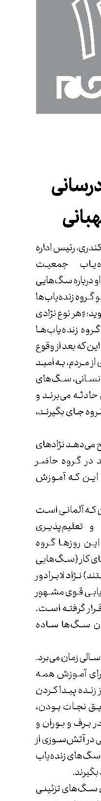 از امدادرسانی  تا نگهبانی