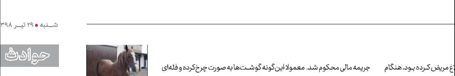 مجازات سنگین برای فروشنده گوشت اسب