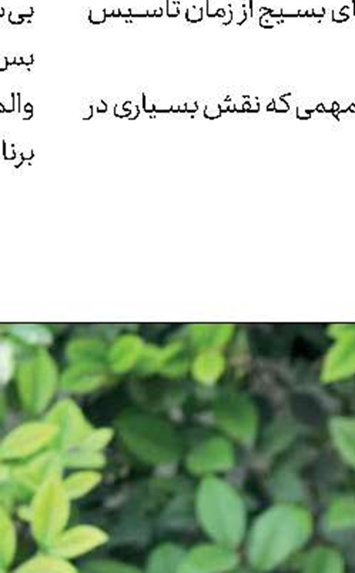 مسابقه پیامكی «1453»