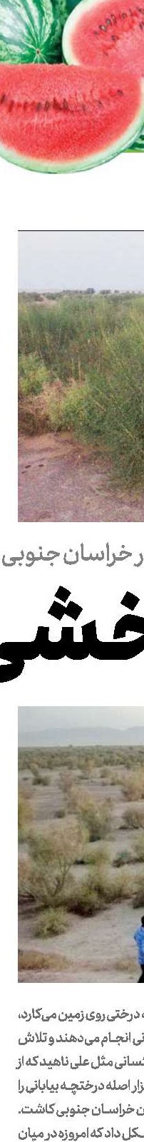 حق با شماست