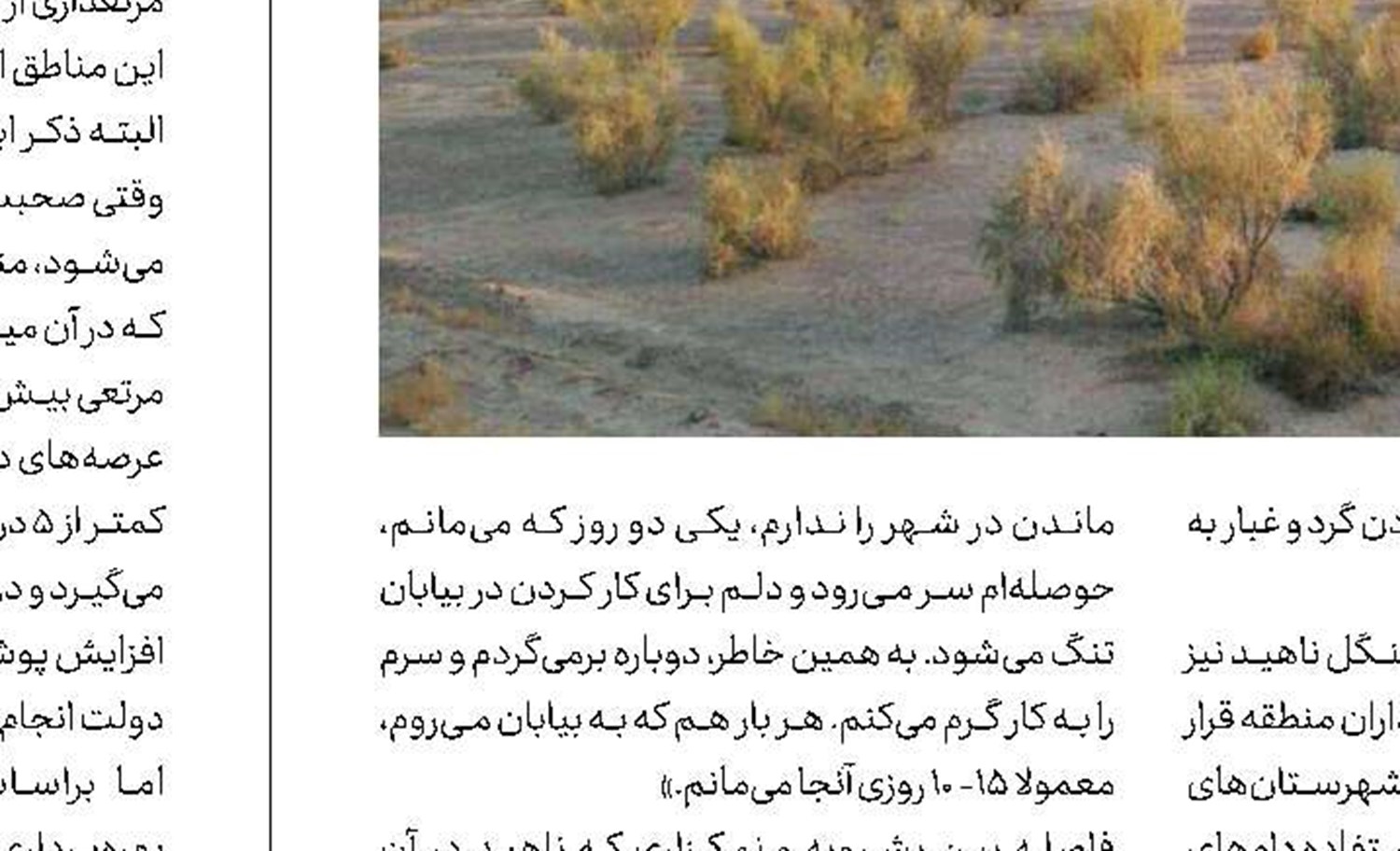 رواج احیای بیابان