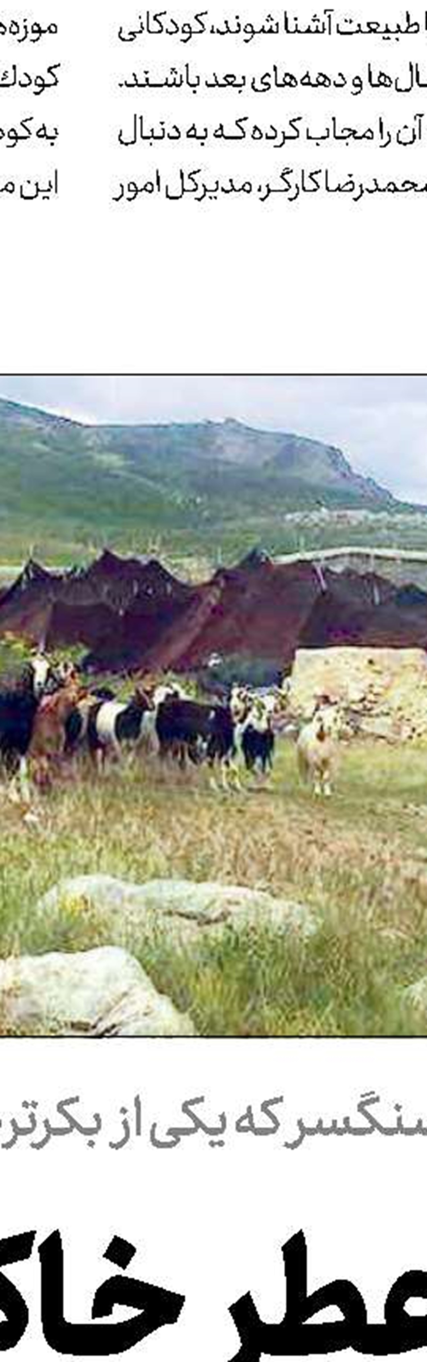 دریای پارس