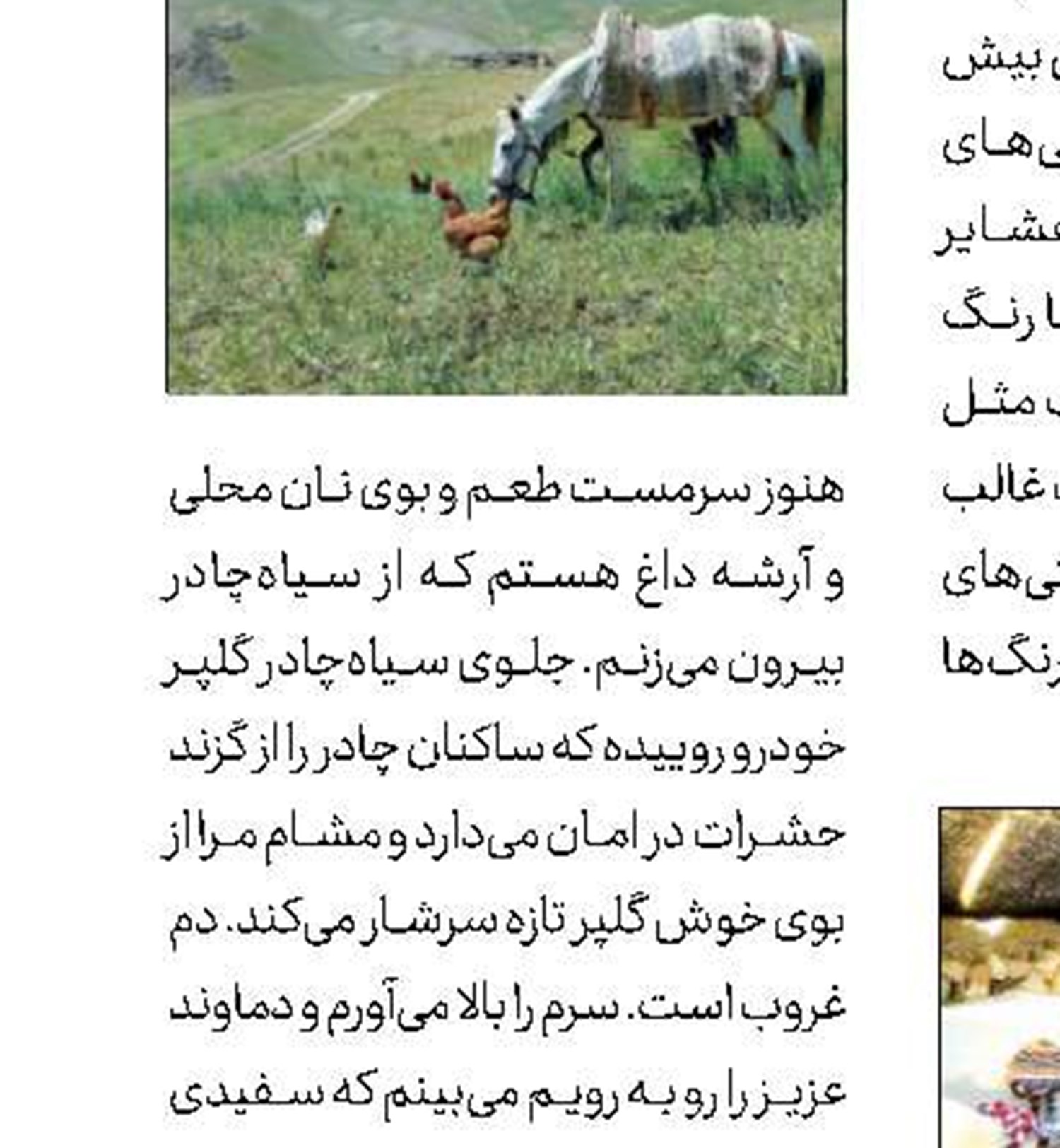 حتما یادمان باشد: