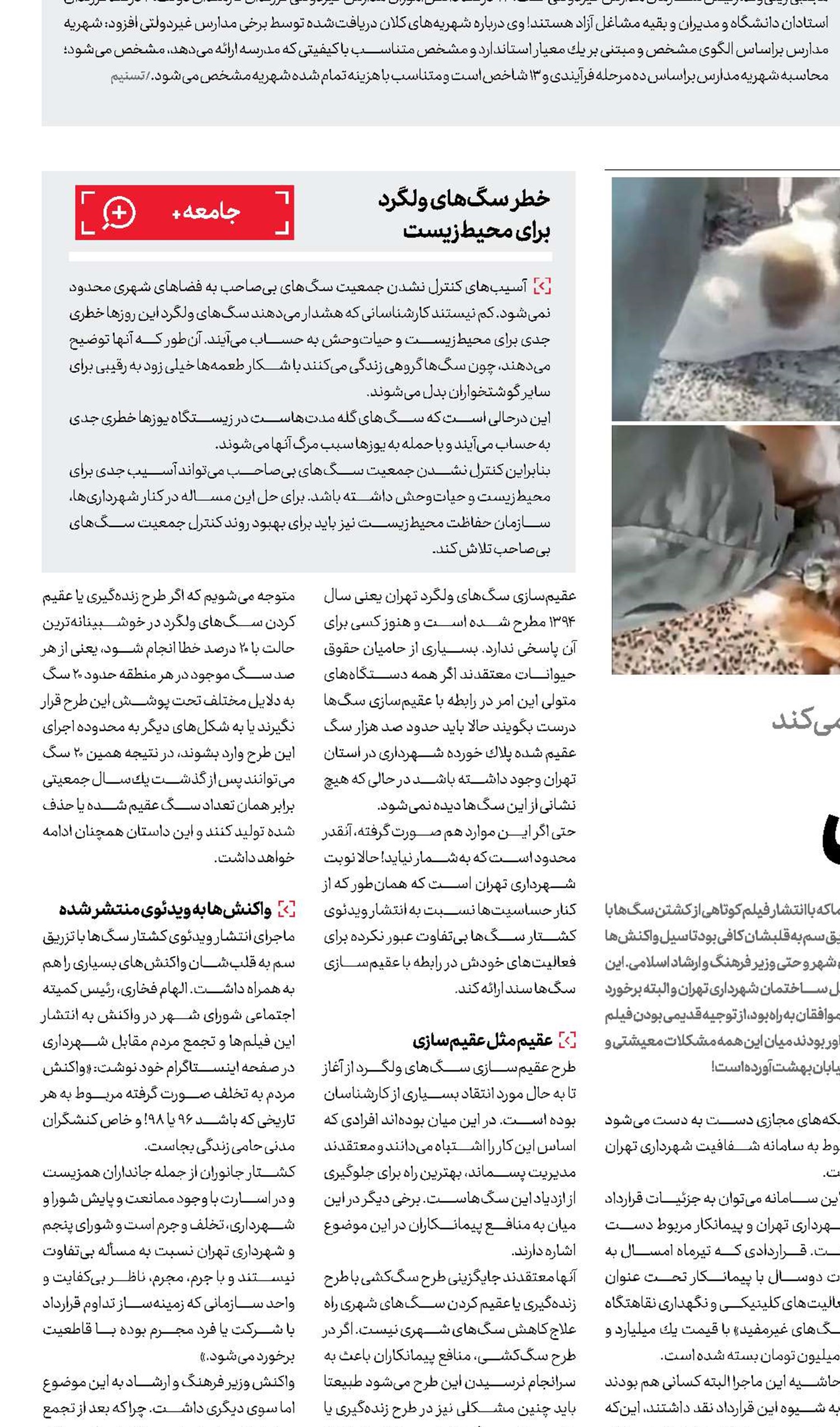 كشتــــــار  اســـیدی