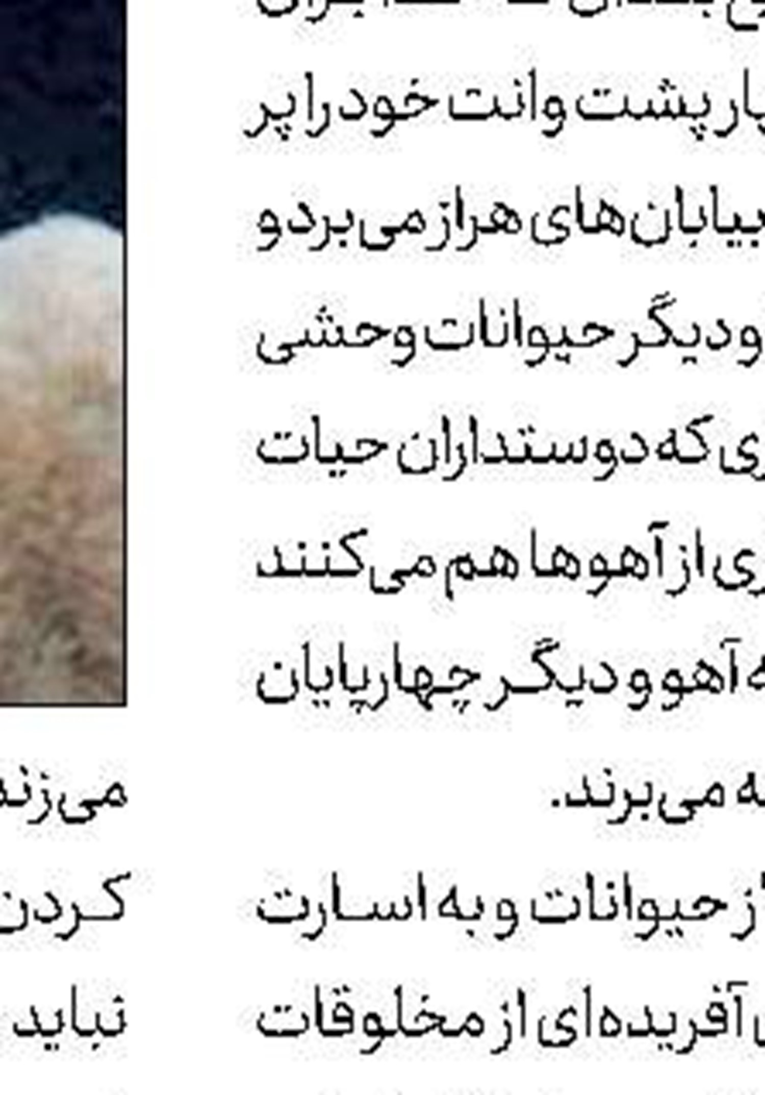 ربات‌های پیشخدمت در هند 
