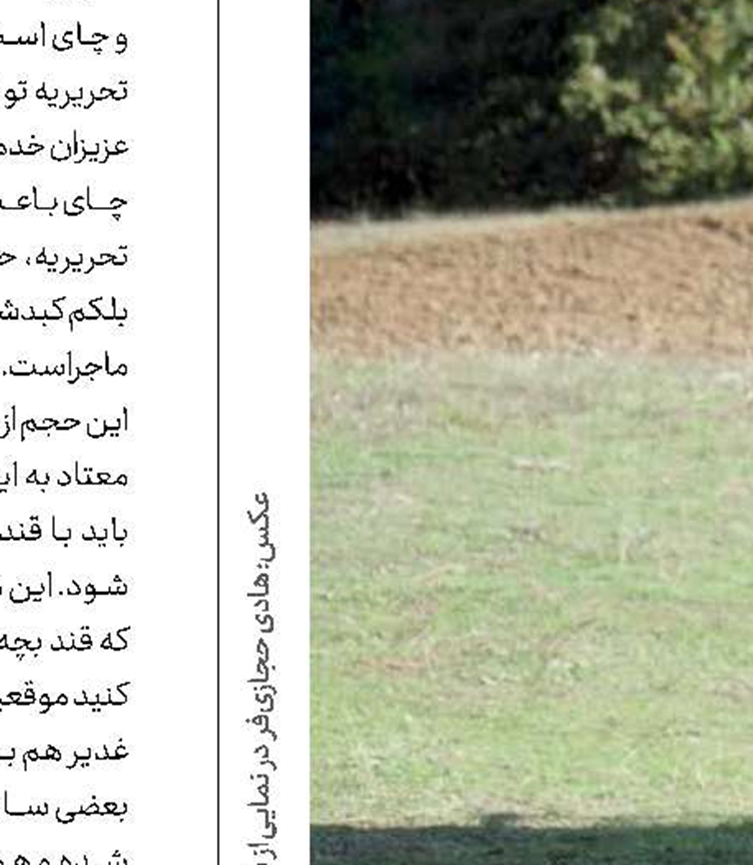 بازی هادی حجازی‌فر در یک فیلم کودک و نوجوان 