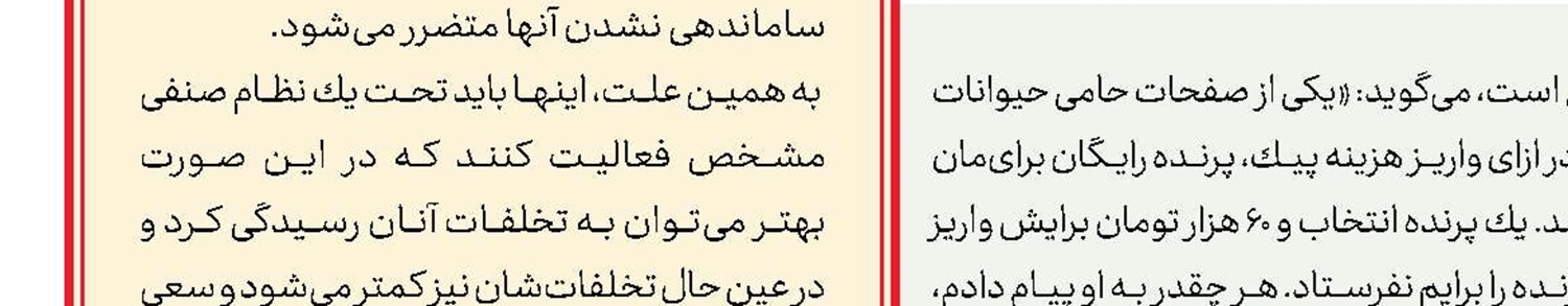 پلیس فتا، مرجع شكایت از كلاهبرداران اینترنتی