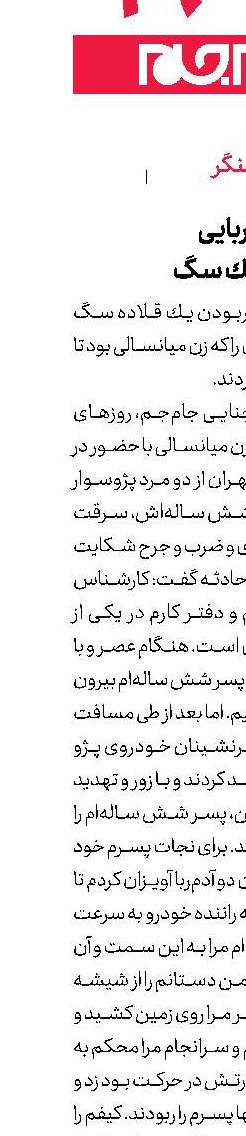  ادعای كودك‌ربایی برای پیدا كردن یك سگ