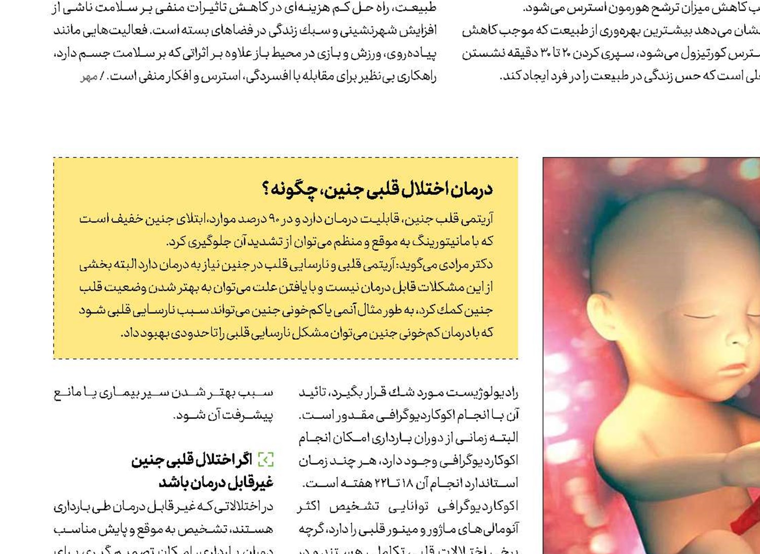 آرامش قلب‌های قرمز   کوچولو