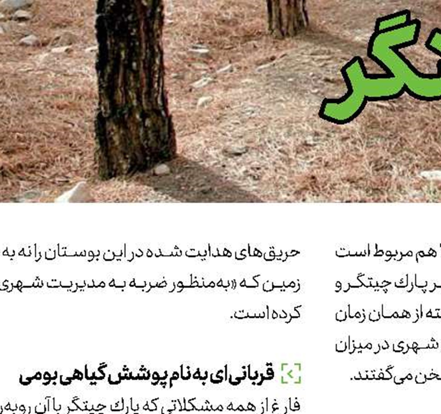  تاریخچه پارك چیتگر
