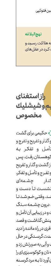 راز استغنای حكیم و شیشلیك مخصوص