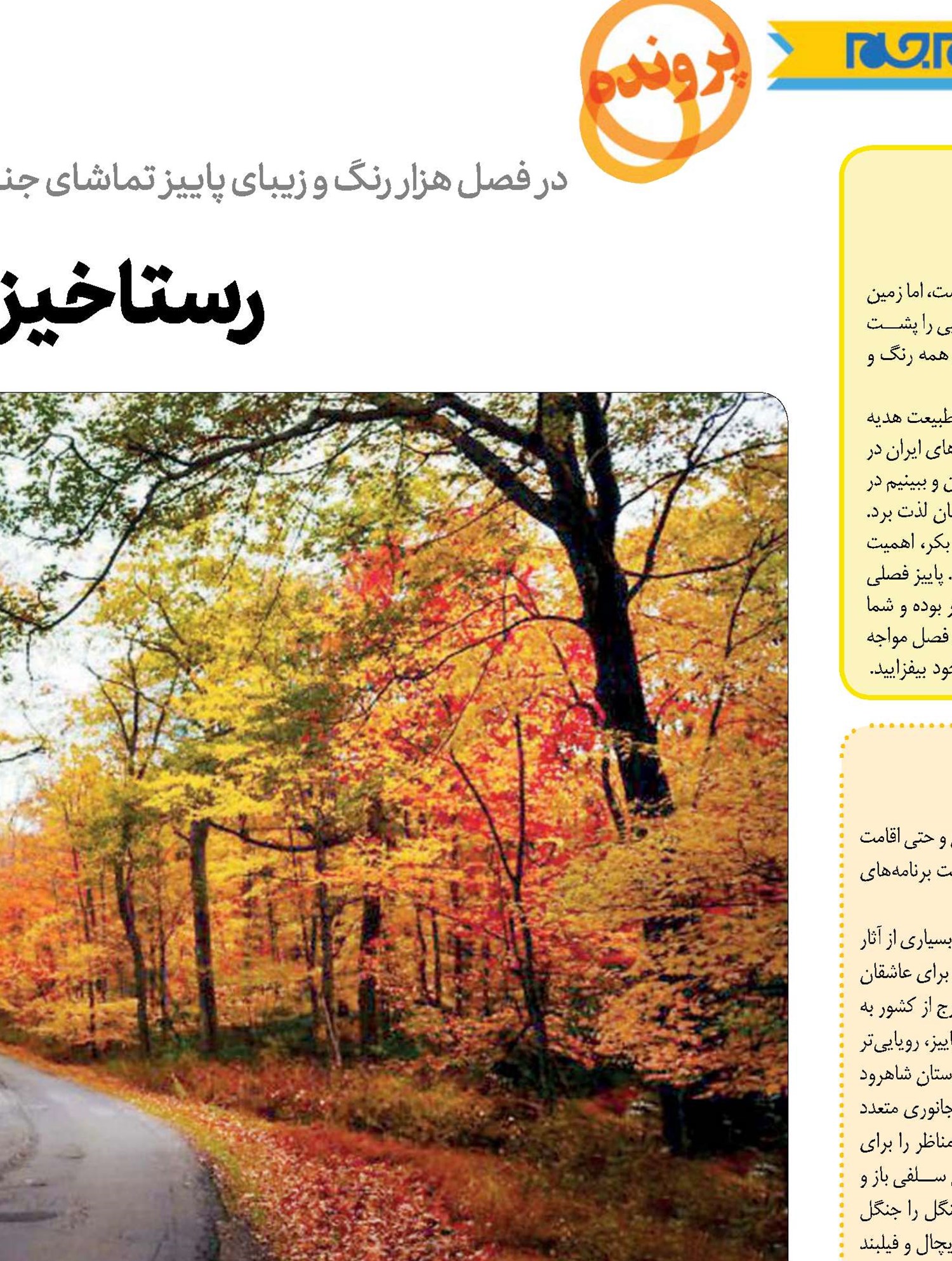 رستاخیز رنگ‌ها