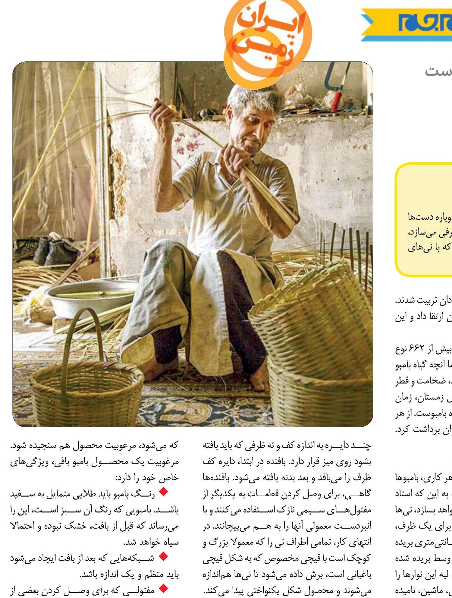 این نی بلند پركاربرد