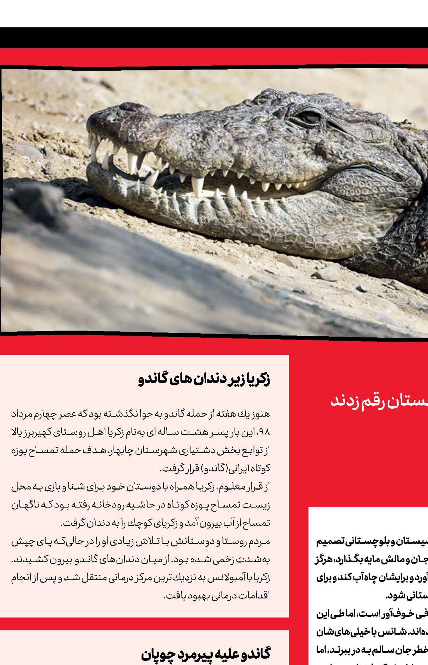 كابوس گاندو