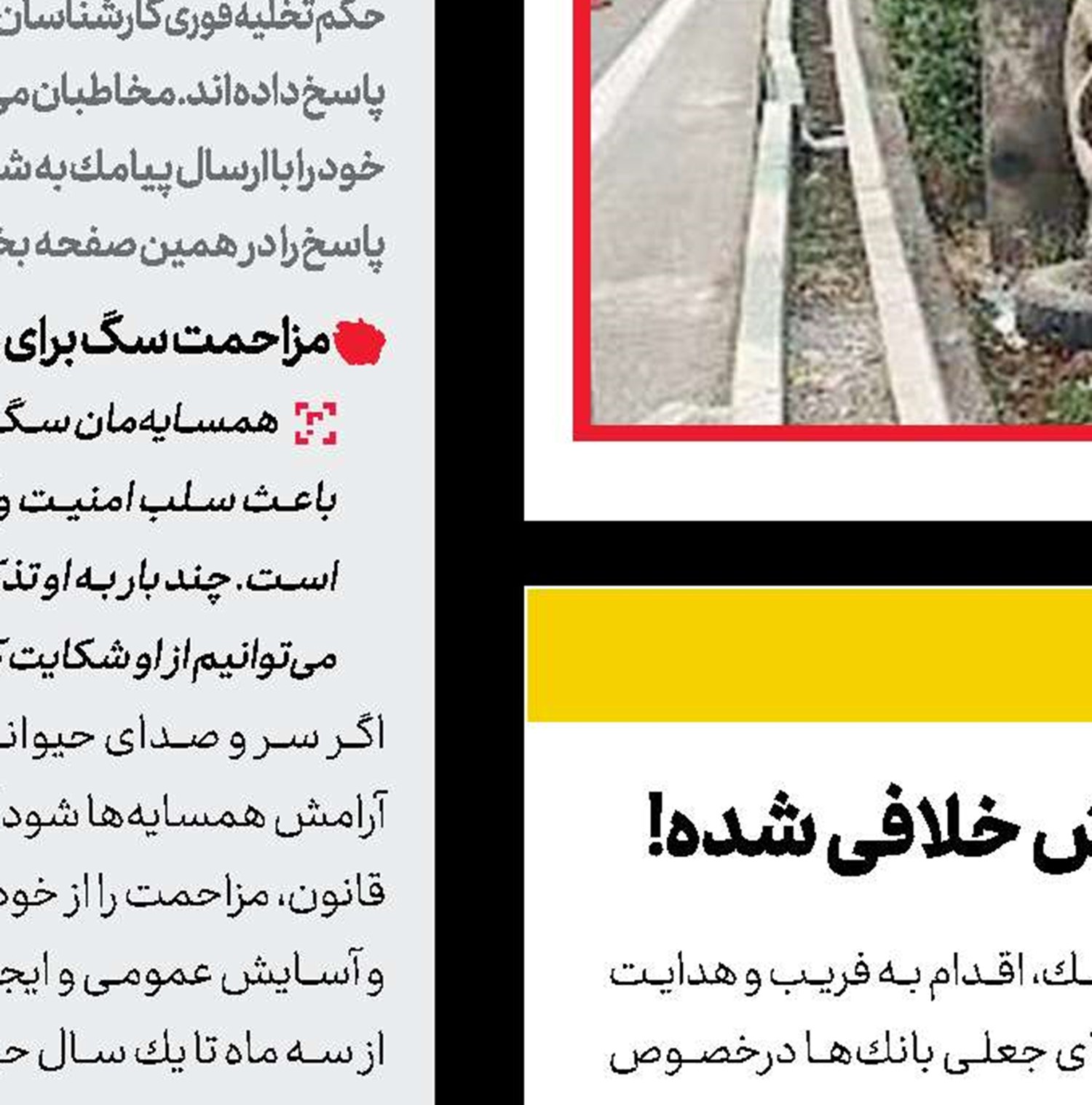 خودروی شما مشمول ۸۰ درصد بخشش خلافی شده!
