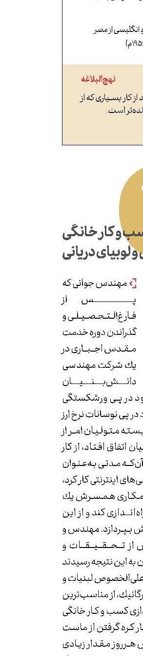 حكایت كسب و كار خانگی مهندس و لوبیای دریانی