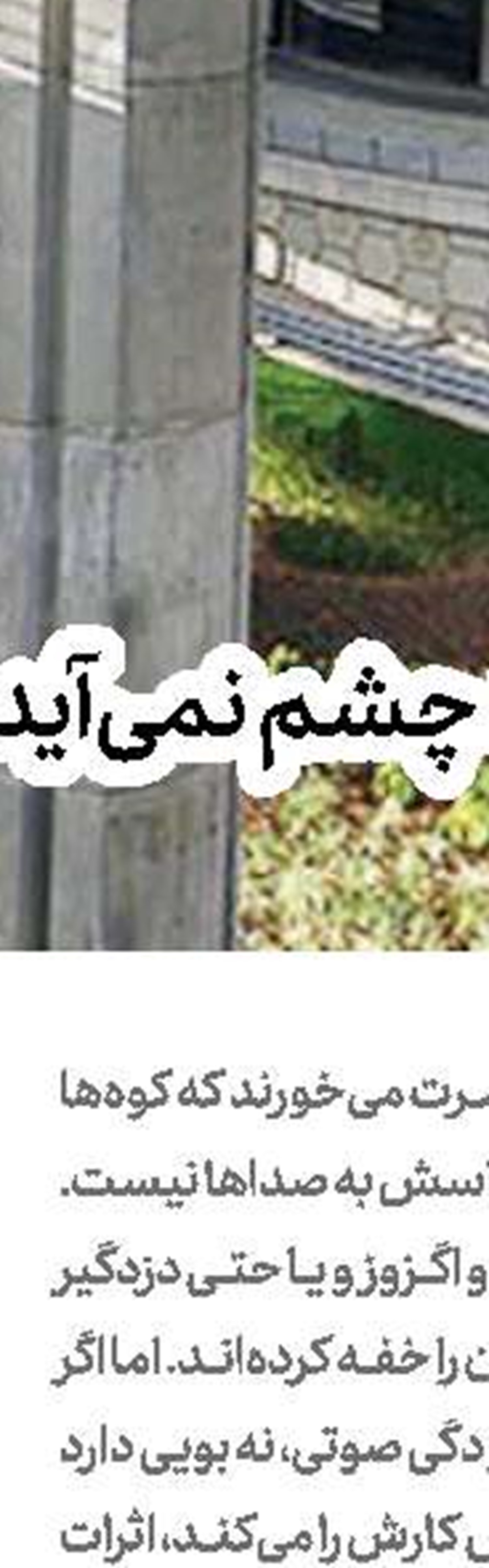 جوابیه