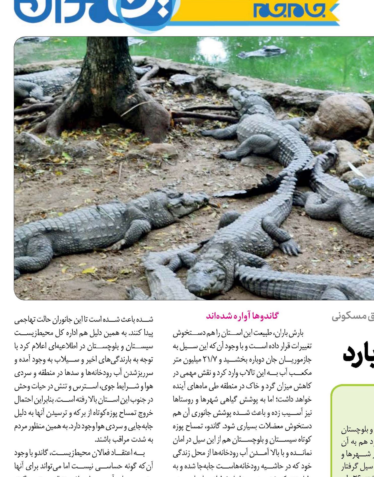 وقتی از زمین و آسمان می‌بارد