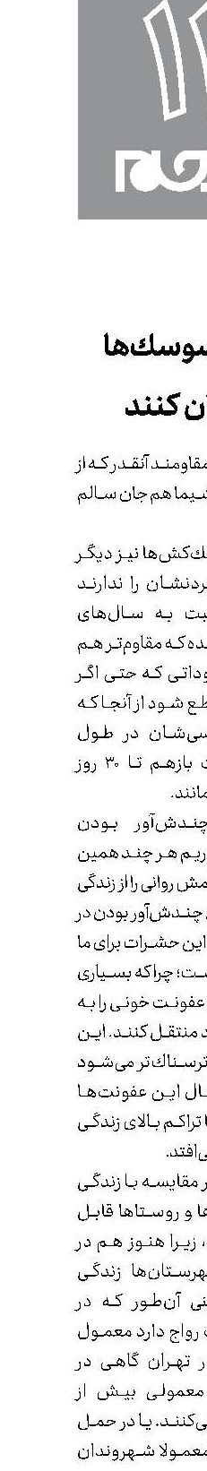 وقتی سوسك‌ها طغیان كنند