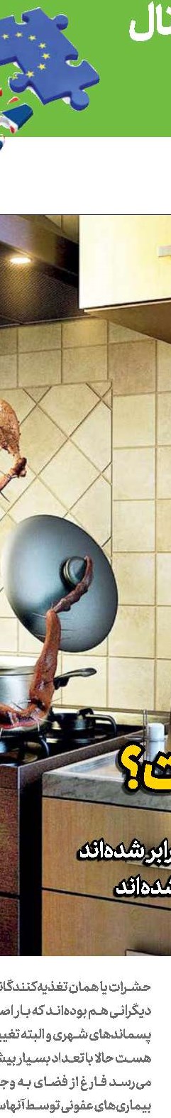 حق با شماست