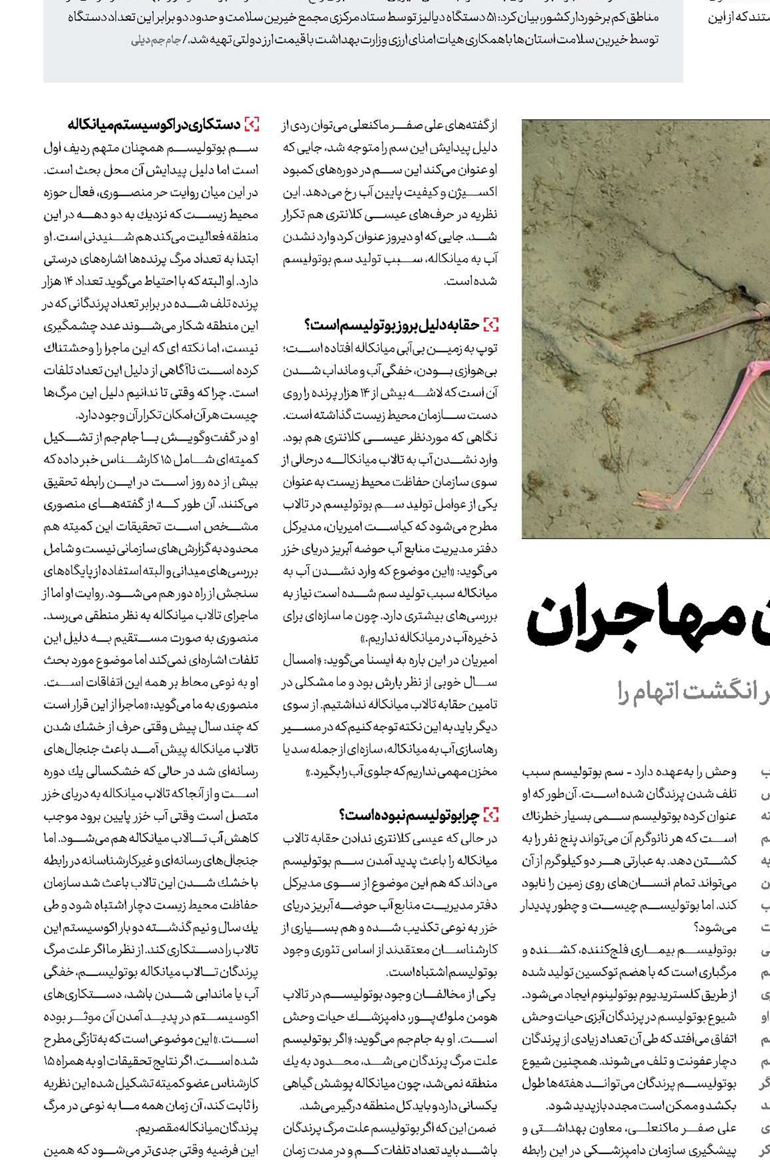میانكاله؛قبرستان مهاجران