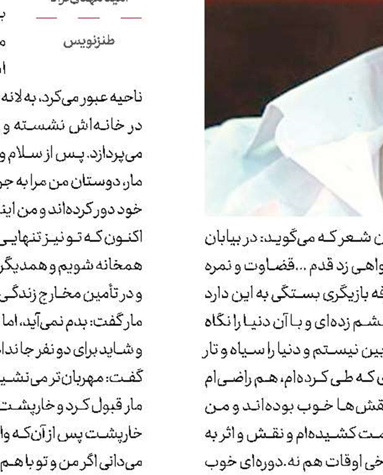 مجلس کفتار کشی ...