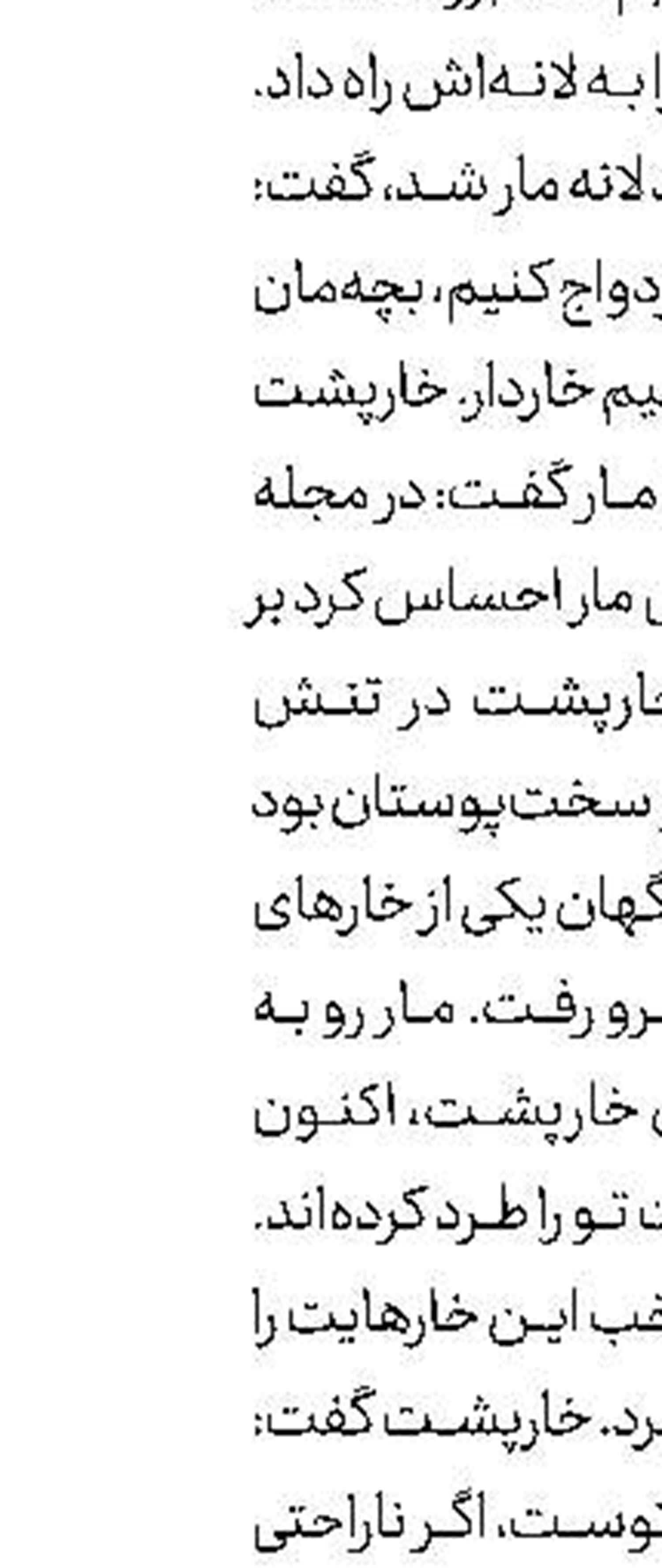 صبر مادرانه به سبك خرس‌ها 
