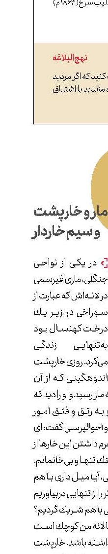 حكایت مار و خارپشت و سیم خاردار