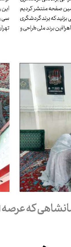 حمایت از این صنعت نوپای متزلزل