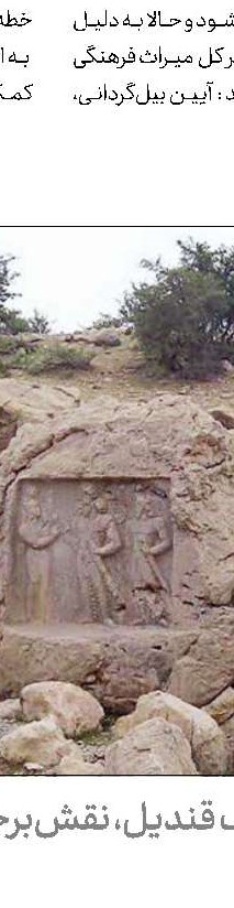 مدل مناسبی برای حفاظت نداریم