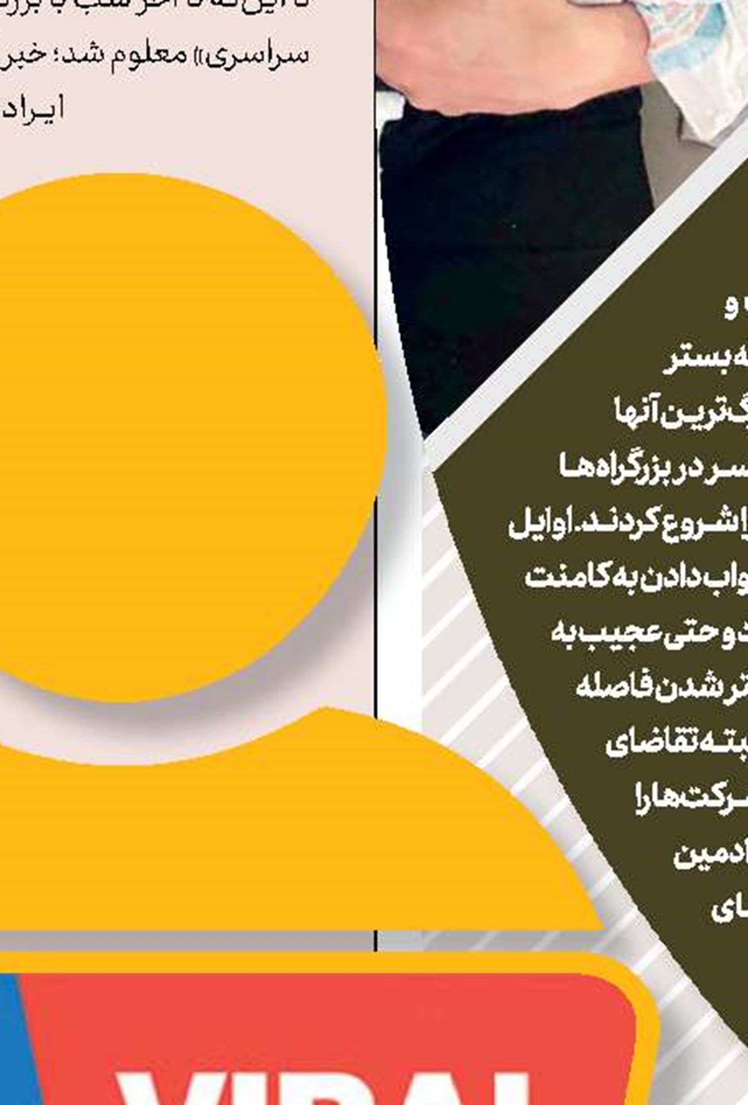 لاک‌پشت خودش لاکه!